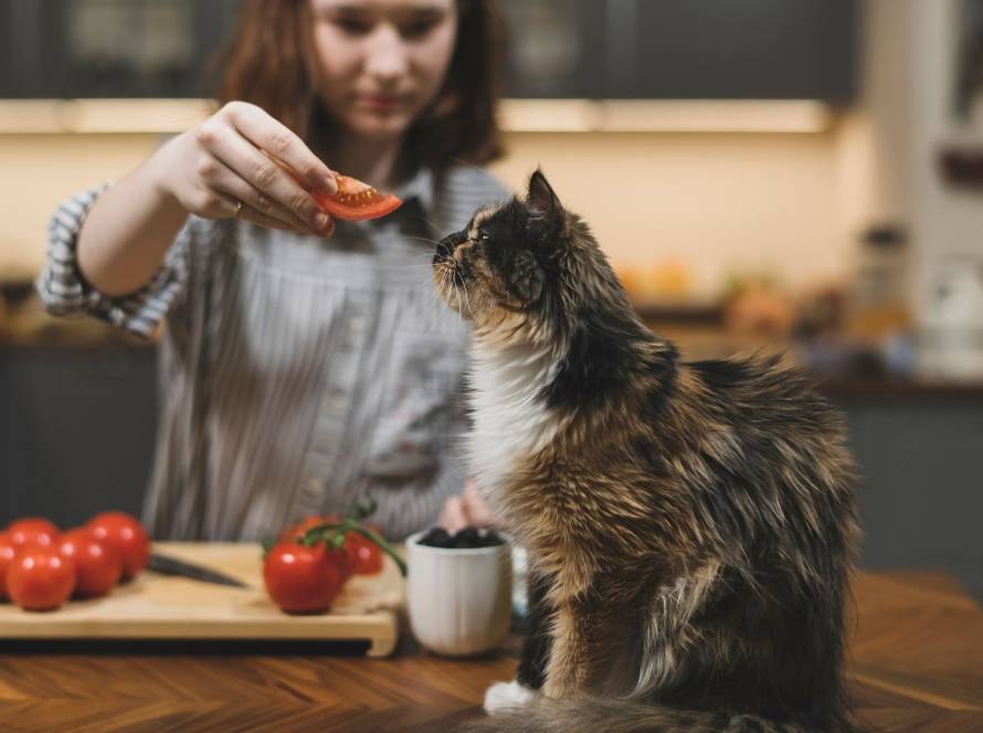 Ausgewogene Tierernährung
