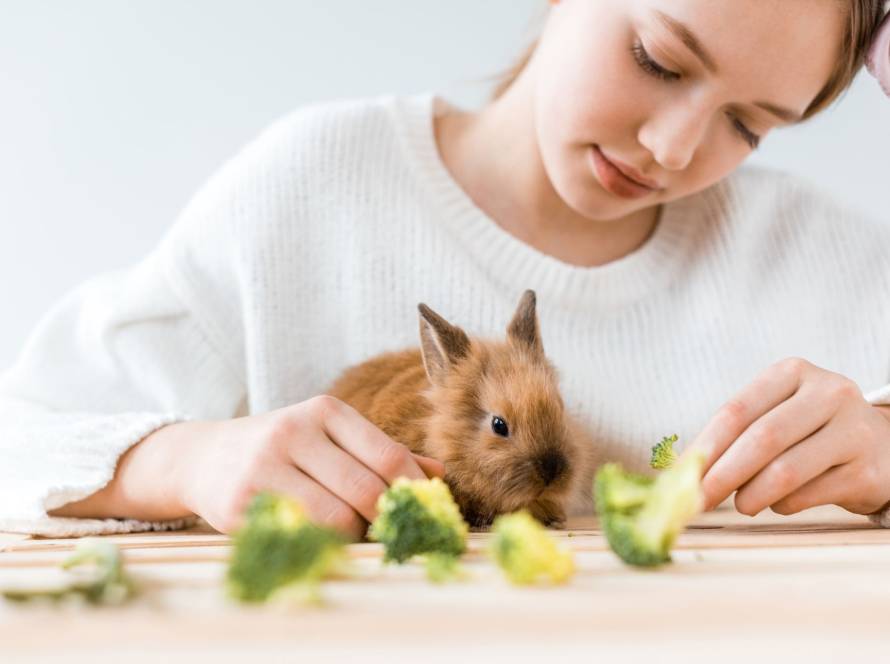 Tierverhalten Ernährung