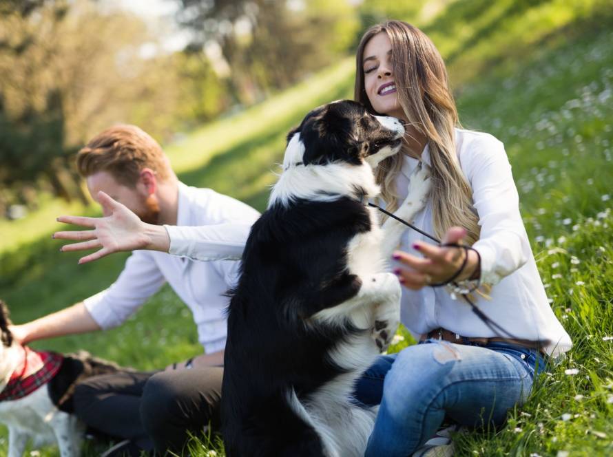 Tierverhalten verstehen