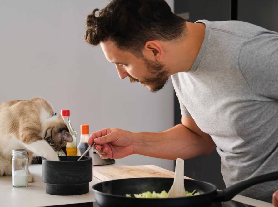 Tierpflege Utensilien