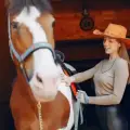 Wie ein Reiterladen Ihnen hilft, das richtige Reitzubehör zu finden